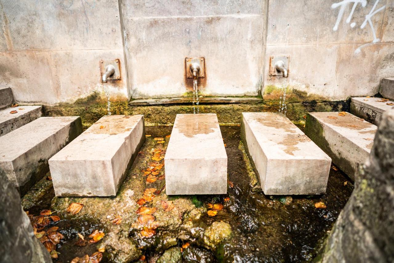 فندق إرفورتفي  Dreibrunnen Gastehaus Im Luisenpark المظهر الخارجي الصورة