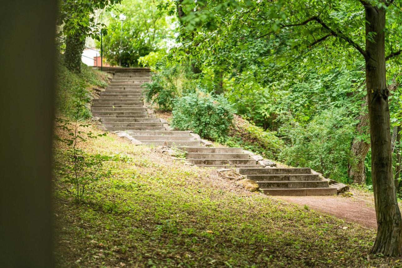 فندق إرفورتفي  Dreibrunnen Gastehaus Im Luisenpark المظهر الخارجي الصورة